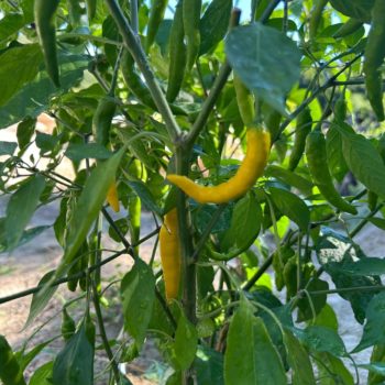 2025/11 建築状況報告