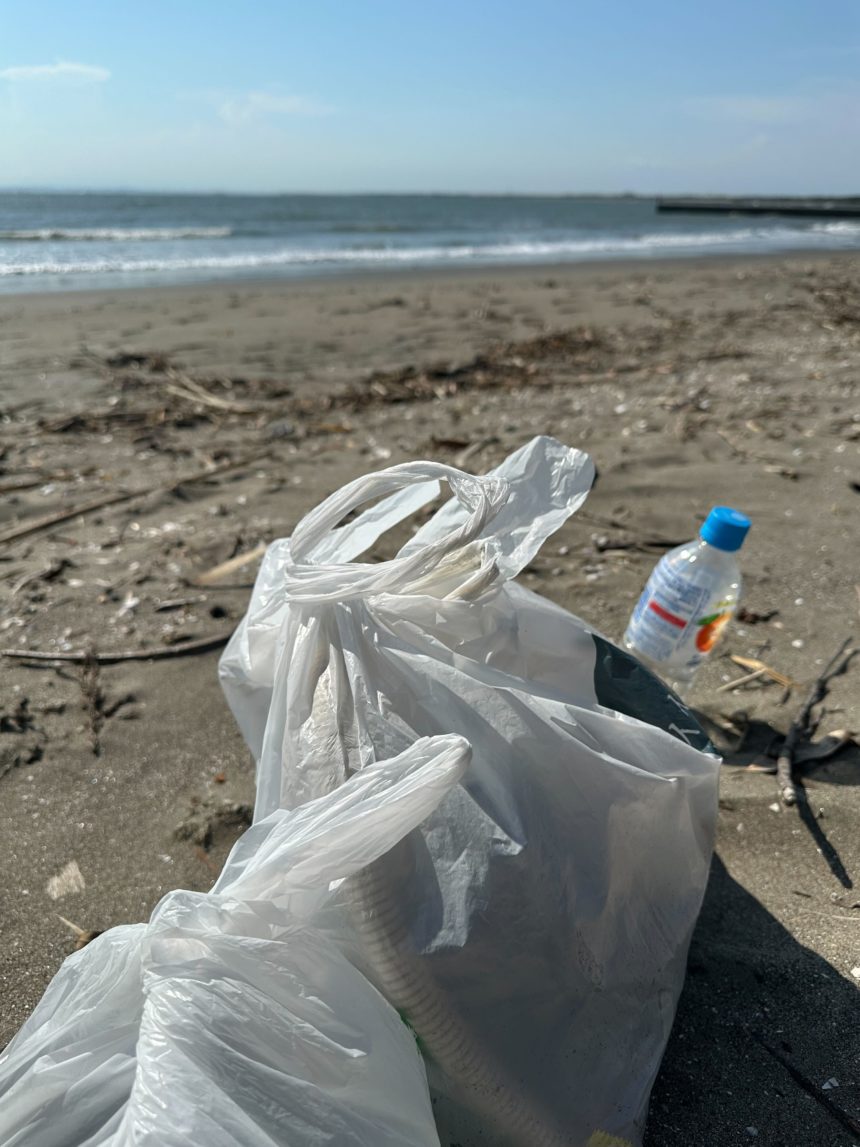 2025/7/28　海のお掃除