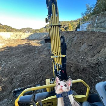 猫又療養所　工事進行予定表🐱